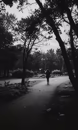 a lone man walks away down the path toward the park
