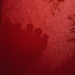 trees in silhouette, against an orange red sky
