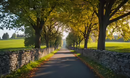 the road winds through the green fields of trees and grass