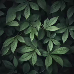 a bunch of green leaves with lots of leaves