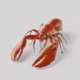 a large lobster with one foot sticking out