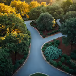 a curved path with benches and some green trees