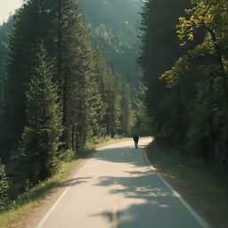 a person walking down a tree lined road