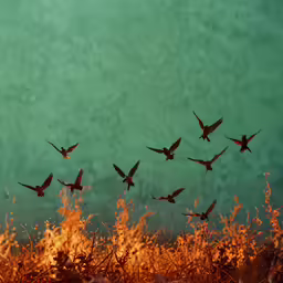 there are many birds flying in formation over grass