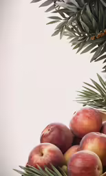 a pine tree with a brown basket filled with apples
