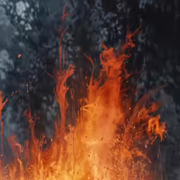 an image of fire in the middle of a night