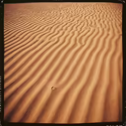 small square shaped sand ripples near a field