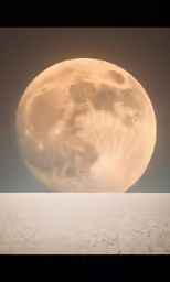 an animal walks beneath the moon with a hazy sky