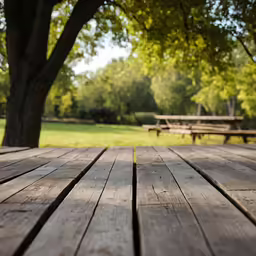 the picnic table is empty and is set with benches