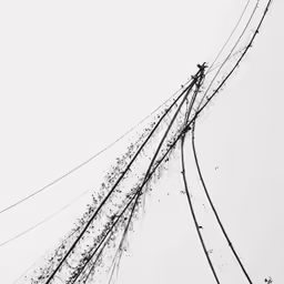 a power line with barbed wire and no poles