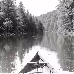 black and white image of canoe and trees