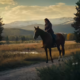 a person riding on the back of a brown horse