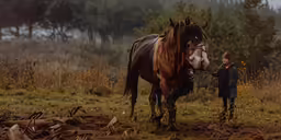 a man standing next to a large brown horse in a forest