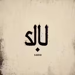 an abstract painting of the name sadia