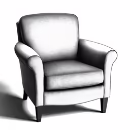 an image of the chair on white background