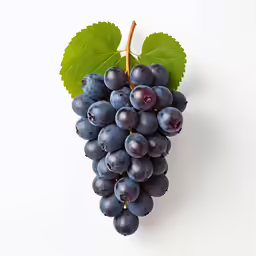 grapes are the most common fruit to grow and make a nice salad