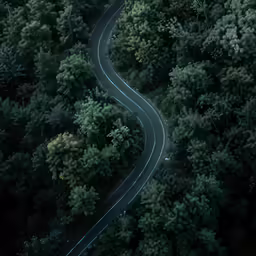 an aerial shot of a winding road running through trees