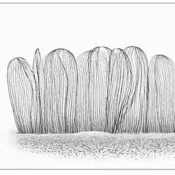 a drawing of many branches growing from the ground