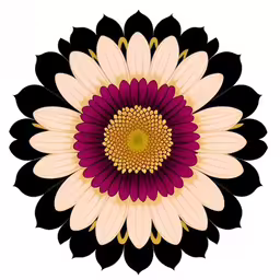 an artistic looking flower is shown with black, white and purple petals,the white, black, and pink flower has a center point