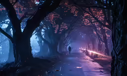 person walking on empty road surrounded by a wooded area