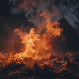 a large, fire filled field with trees and branches in the background
