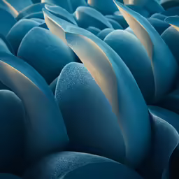 a collection of blue vases with white petals in them