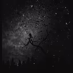 a night sky filled with stars and tree branches