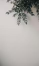 a plant is growing over a wall near a window