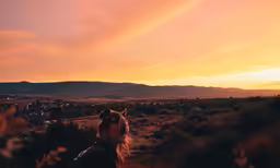 a young man sits in the middle of a desert field