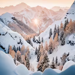 the sun is setting in the mountains over the trees