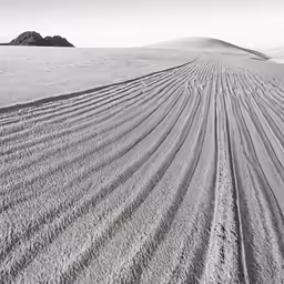 the sand in this photograph is very wavy