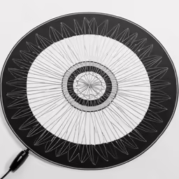 a drawing of an intricate design in black and white