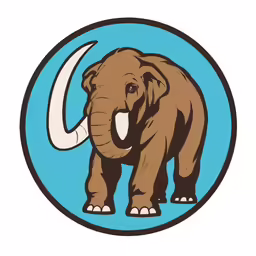 the elephant has white tusks and is facing forward