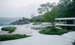 the ocean shore with sand, rocks and some plants