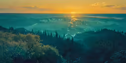 the sun sets over a forest covered hillside
