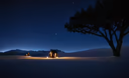 some trees in the snow and lights shining
