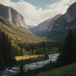 the mountains and trees are dotted with golden foliage