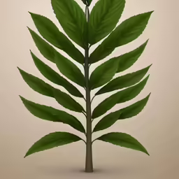 a close up of a green plant with leaves