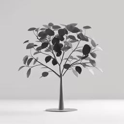tree with leaves in white vase