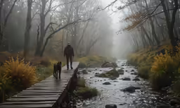 man and his dog walking along a wooden bridge