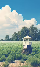 a small gazebo in a field next to trees