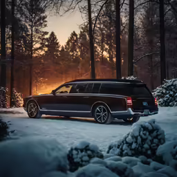 a black suv parked in the snow near some trees