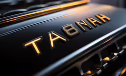 a close up of a vehicle emblem on the grille
