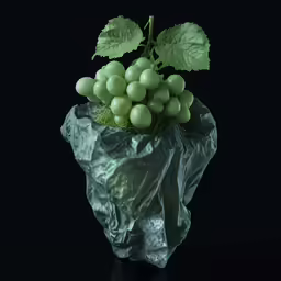 a small group of grapes hanging from a plant