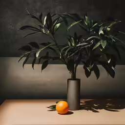 a table has a orange and potted plant in it