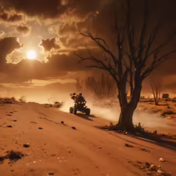 a person on a atv in the desert at sunset