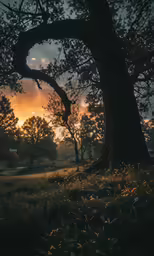 an old, empty park is illuminated by a late afternoon sun