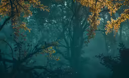 a picture of trees in the distance that look to be foggy