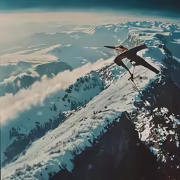 the bird is flying over the mountain range