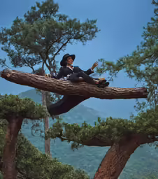 a female wearing a black hat sitting on a branch of a pine tree